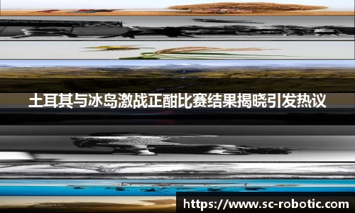 土耳其与冰岛激战正酣比赛结果揭晓引发热议
