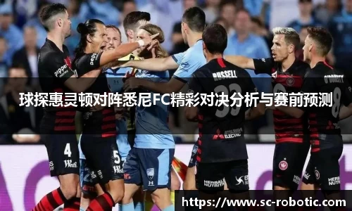 球探惠灵顿对阵悉尼FC精彩对决分析与赛前预测